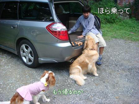 子供は大きくなり、犬は小さくなって・・・_f0064906_16442419.jpg