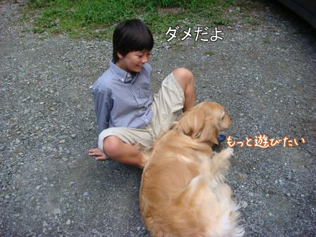 子供は大きくなり、犬は小さくなって・・・_f0064906_16452465.jpg