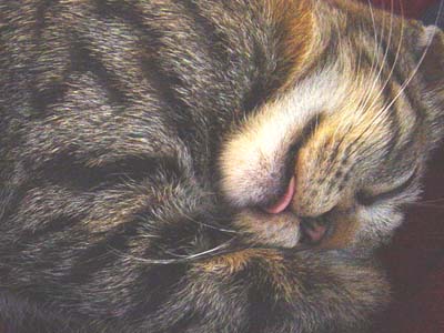 c0047812_0562493.jpg