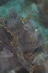 b0155916_0183719.jpg