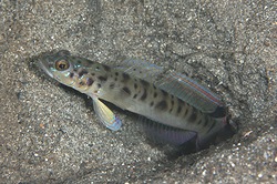 b0155916_0324411.jpg