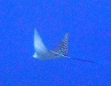 a0043520_5345936.jpg