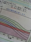 f0170524_1573946.jpg