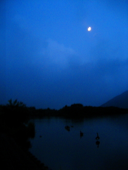 e0064227_17142524.jpg