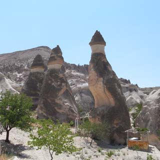 e0130754_21573616.jpg