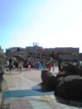 d0007957_23364725.jpg