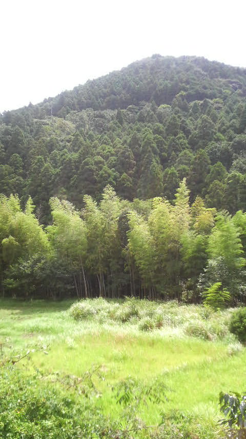 c0147261_9593287.jpg