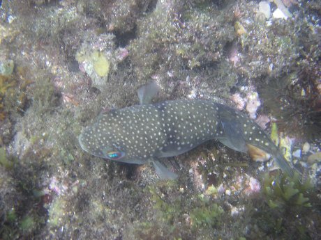 思いつきで海へ。_b0116271_2343130.jpg