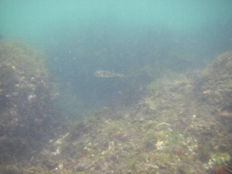 思いつきで海へ。_b0116271_23494316.jpg