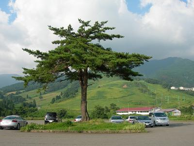 六呂師高原温泉★(^^♪・・・・・続きのつづき_e0107171_4223542.jpg