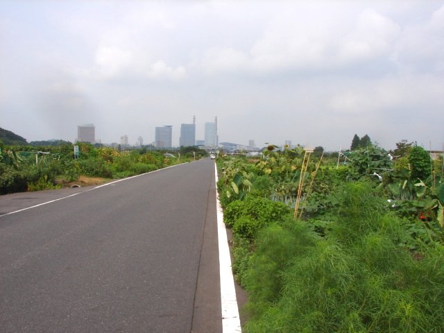 f0104277_1332038.jpg