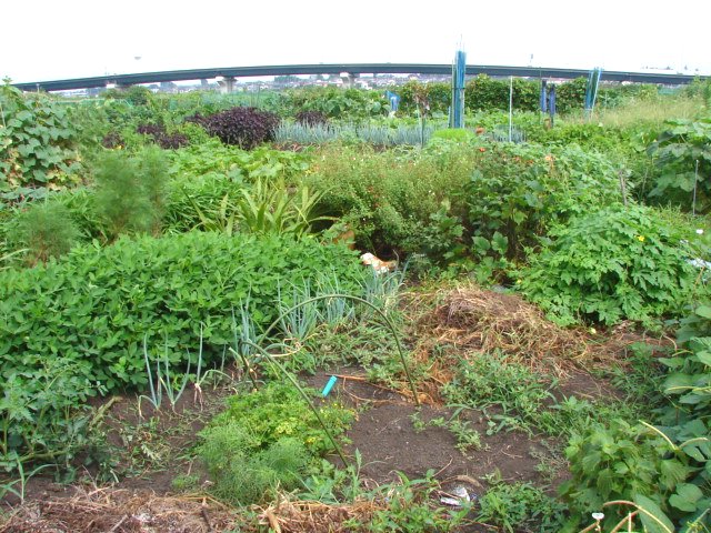f0104277_13322227.jpg