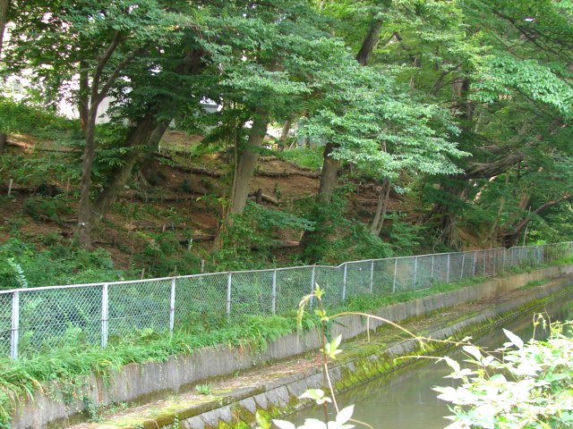 f0104277_13442453.jpg