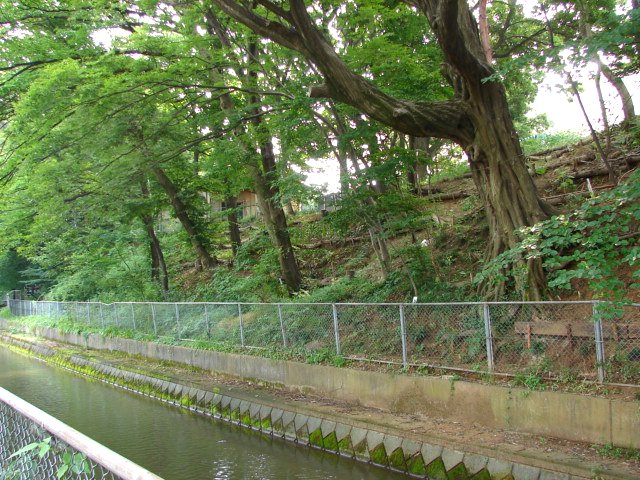 f0104277_13505066.jpg