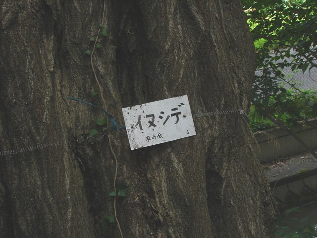 f0104277_13564520.jpg
