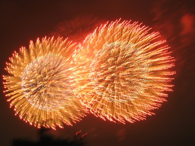 夏の風物詩　東京湾大華祭 _f0079890_17162100.jpg