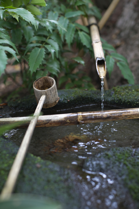 ○　夏の陰陽　●　　当日の様子_f0179091_1725379.jpg