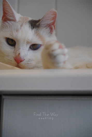 恵み_f0054594_592073.jpg