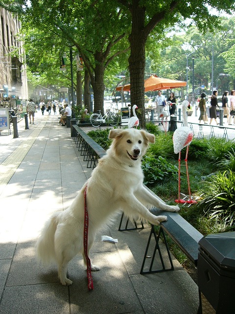 a0032004_1229760.jpg