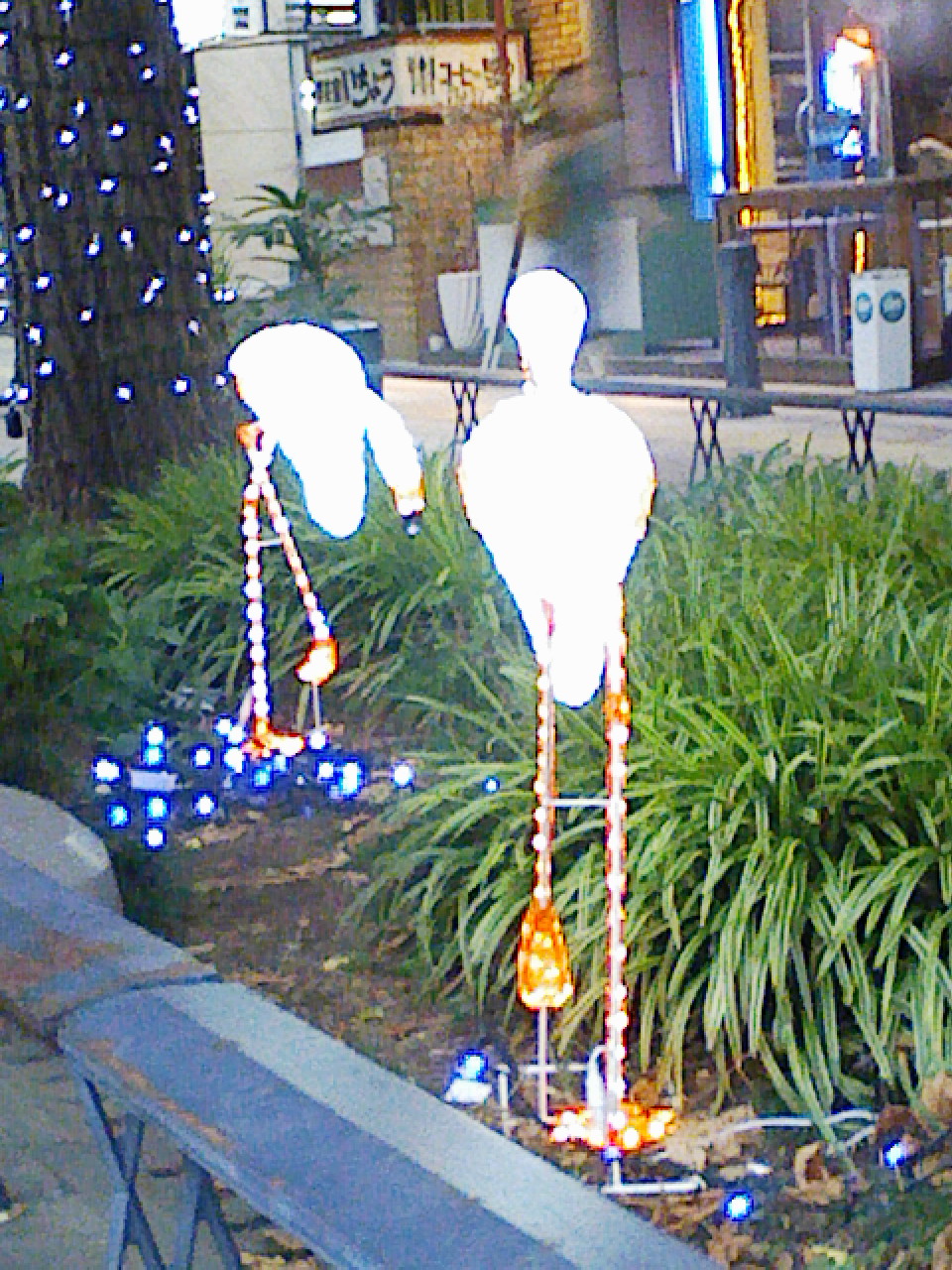 a0032004_12324937.jpg
