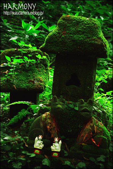 調和_f0100215_08995.jpg