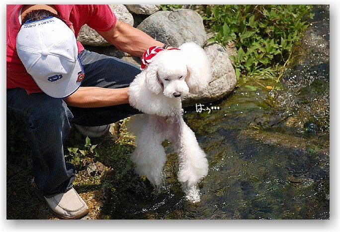 in Hakuba ②_d0083623_1731475.jpg