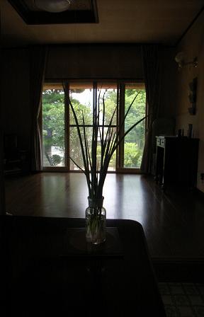 a0070831_747641.jpg