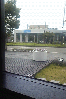 e0096331_1431025.gif