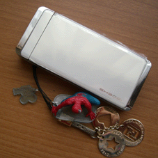 e0096331_17131514.gif
