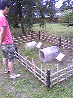 f0084436_25492.jpg