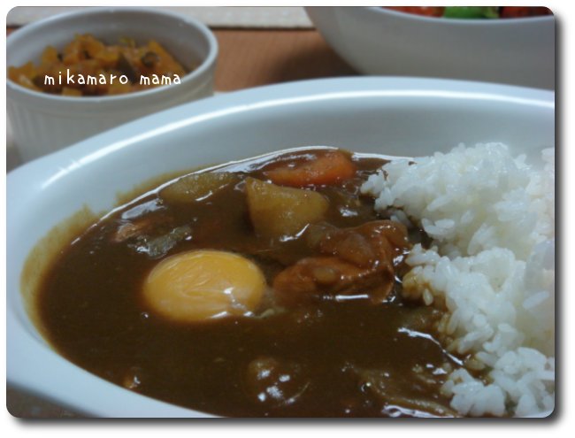 久々にｶﾚｰﾗｲｽﾀﾞｧ━━(｡･ｪ･)ﾉﾞ━━ｯ!!_d0090737_12542911.jpg