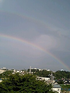 チロルの夏_d0152937_211491.jpg