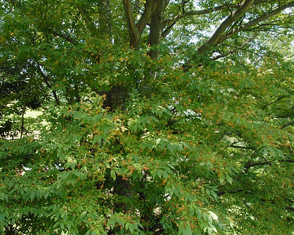 e0035757_2346099.jpg
