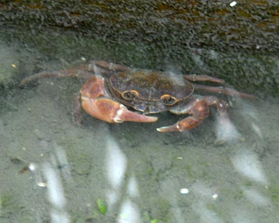 e0035757_2347556.jpg