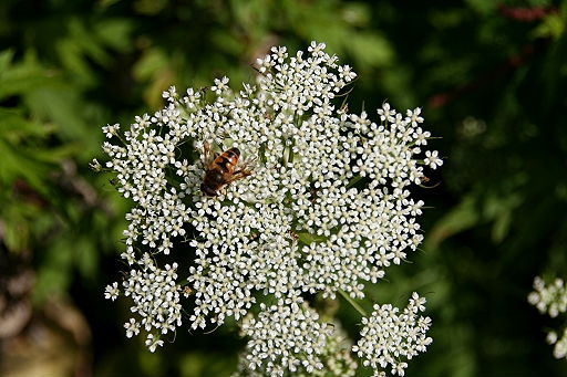 b0055171_15798.jpg