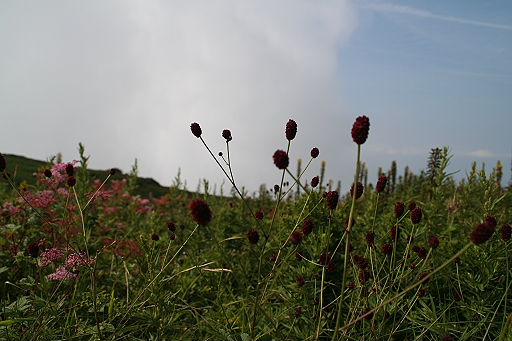 b0055171_19010.jpg