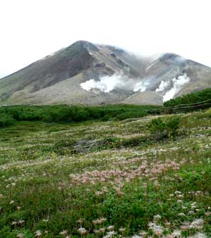 f0083977_16395463.jpg