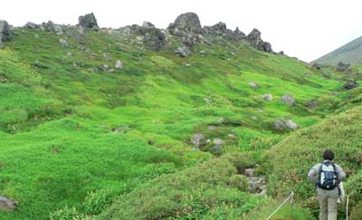 f0083977_1641514.jpg