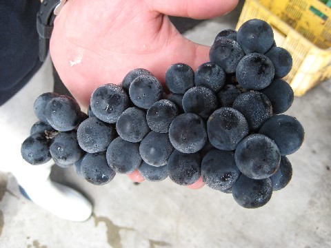 c0013687_23292495.jpg