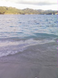 b0046290_22401463.jpg