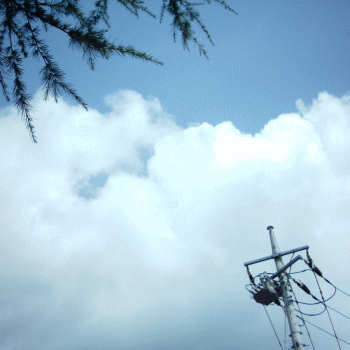 d0100192_2312771.gif