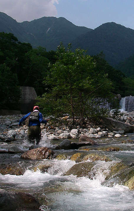 北アルプスのイワナ釣り(その2)_c0095801_17133431.jpg