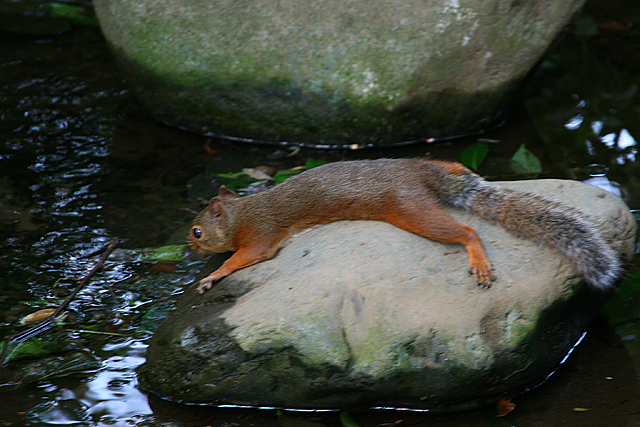 e0031502_11284334.jpg
