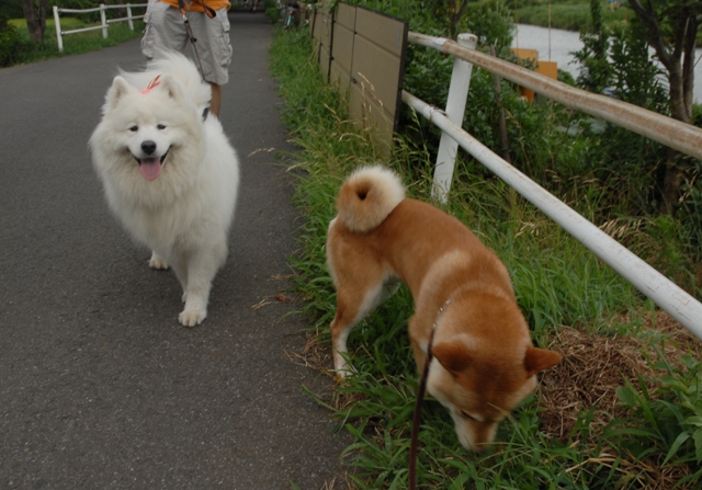 つなよし　滞在中　　　8月15日　　[金]_e0018604_8341187.jpg