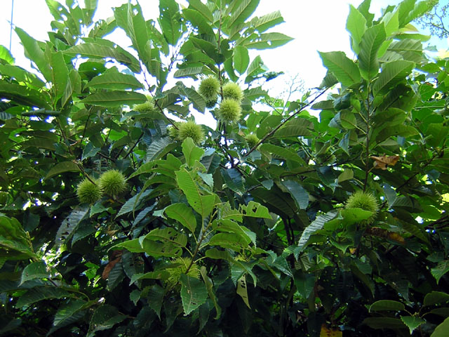 d0088611_23593378.jpg