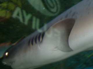 f0015614_2212444.jpg