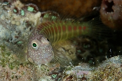 b0155916_22511093.jpg