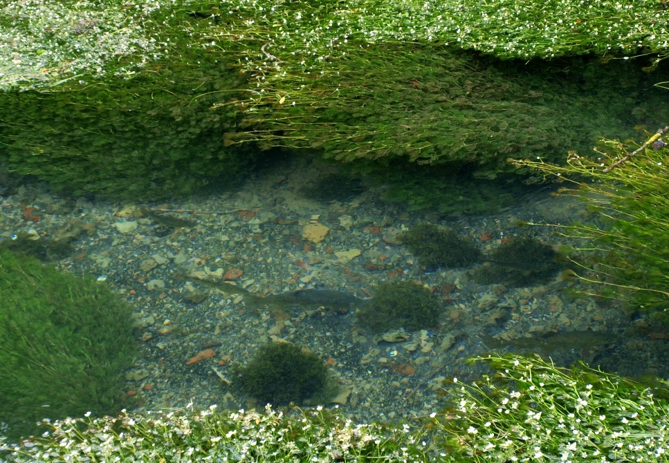 b0148617_545279.jpg