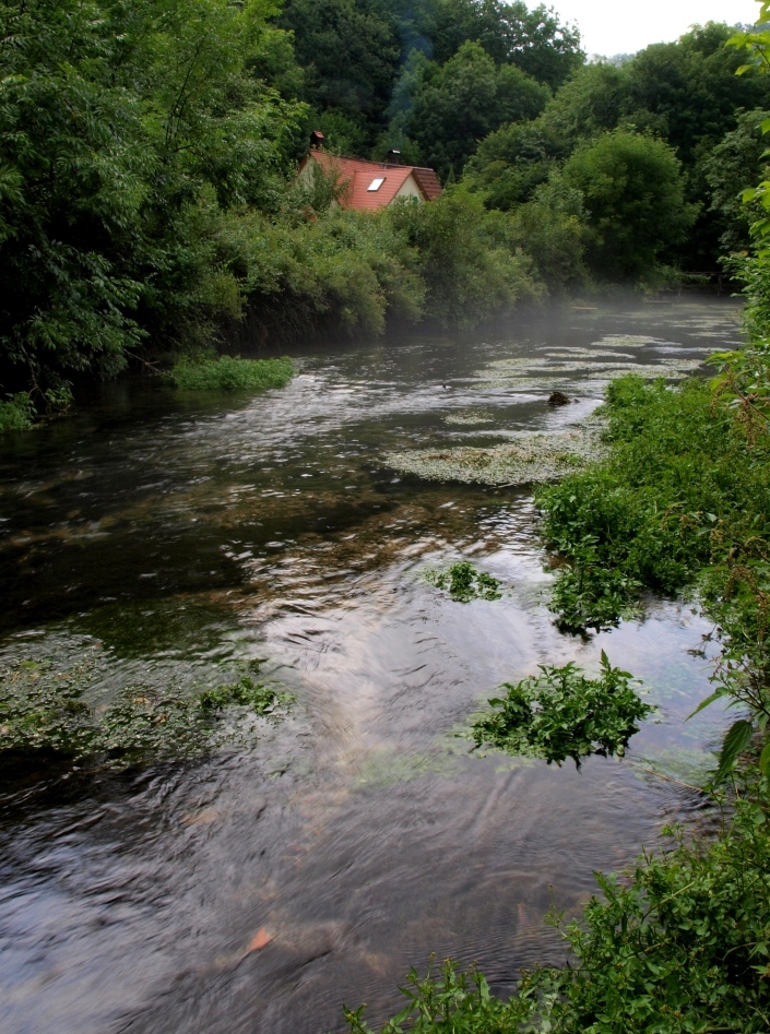 b0148617_54635.jpg