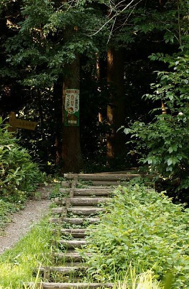 八菅山ハイキングコース《とんぼ池》のご紹介です。_b0033423_9501183.jpg